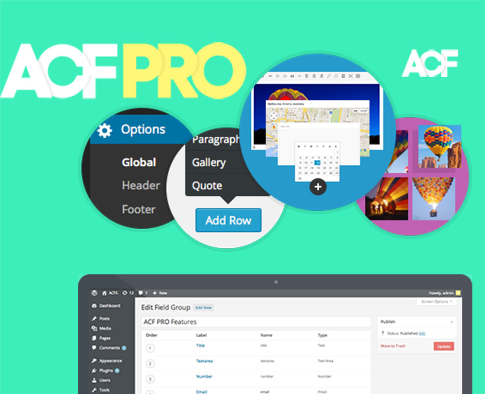Advanced Custom Fields Pro